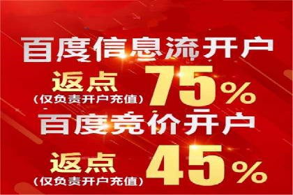 百度竞价运营实战技巧：案例分析与优化